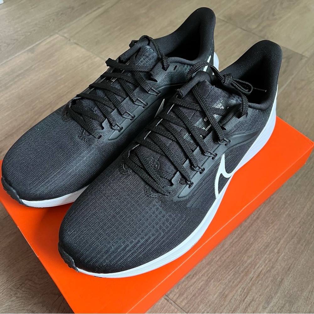 Nike Air Zoom Pegasus 39
